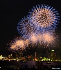 神戸海上花火大会２０１６-0005-