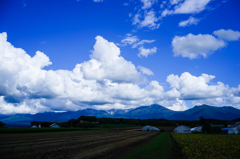 上富良野
