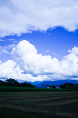 上富良野