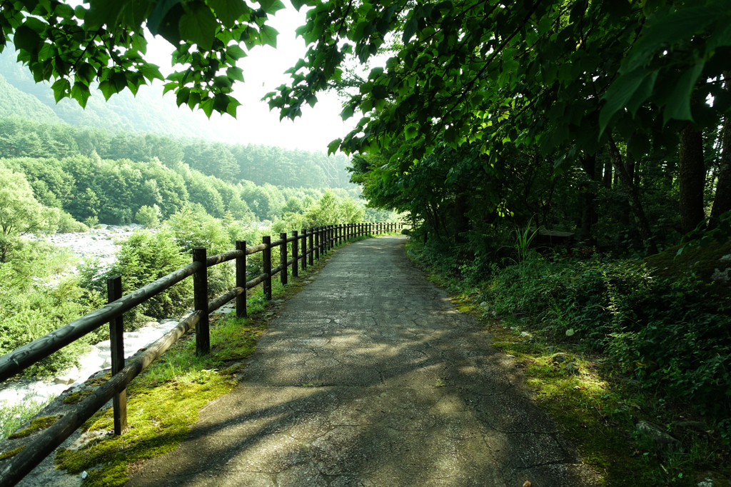 遊歩道から