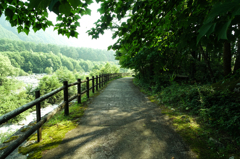 遊歩道から