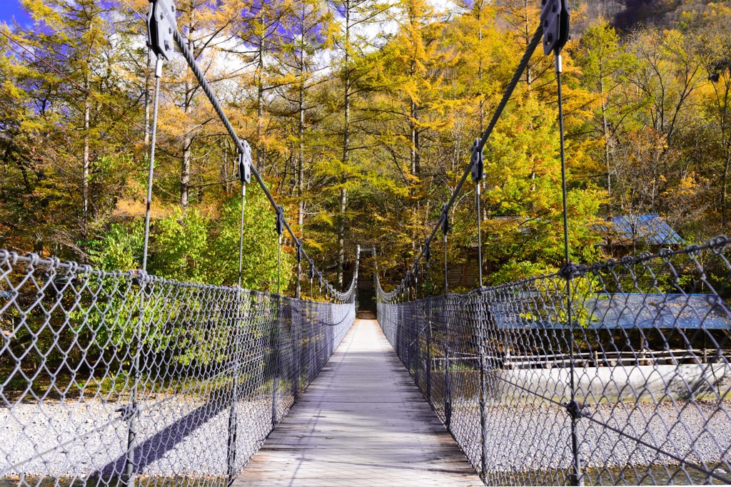 Bridge to autumn