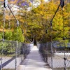 Bridge to autumn