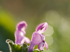 P1120441