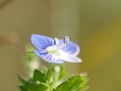 P1120333