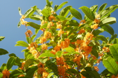 P1080097