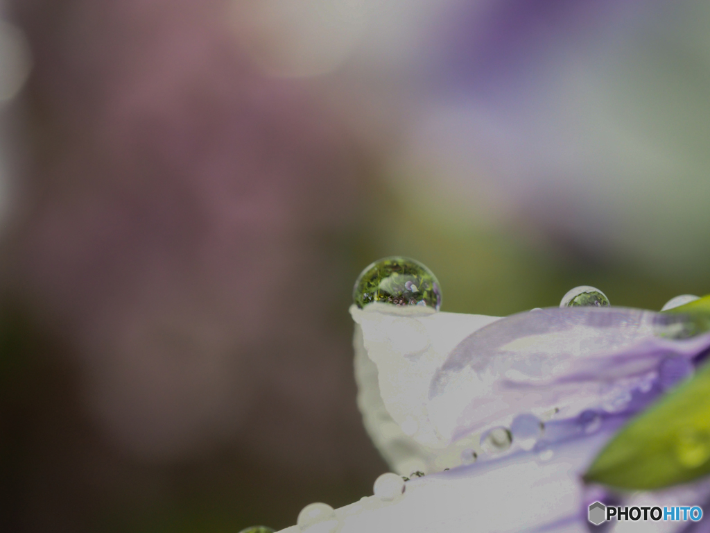 水滴