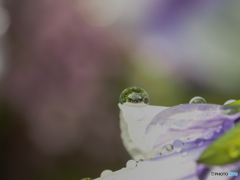 水滴