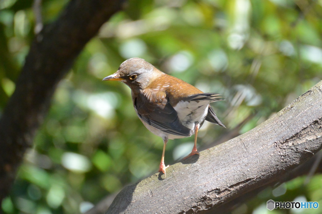 何か御用(^_-)-☆