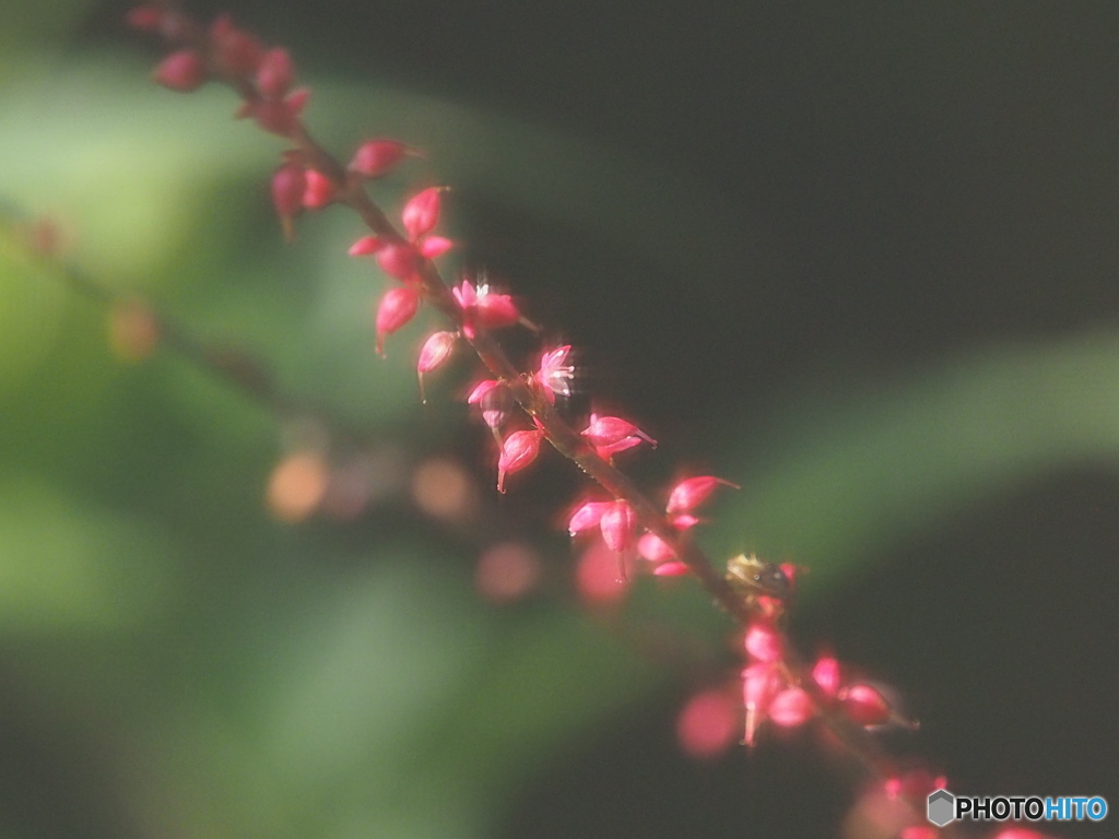 網戸フィルタ(*^^)v