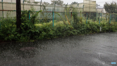 大雨