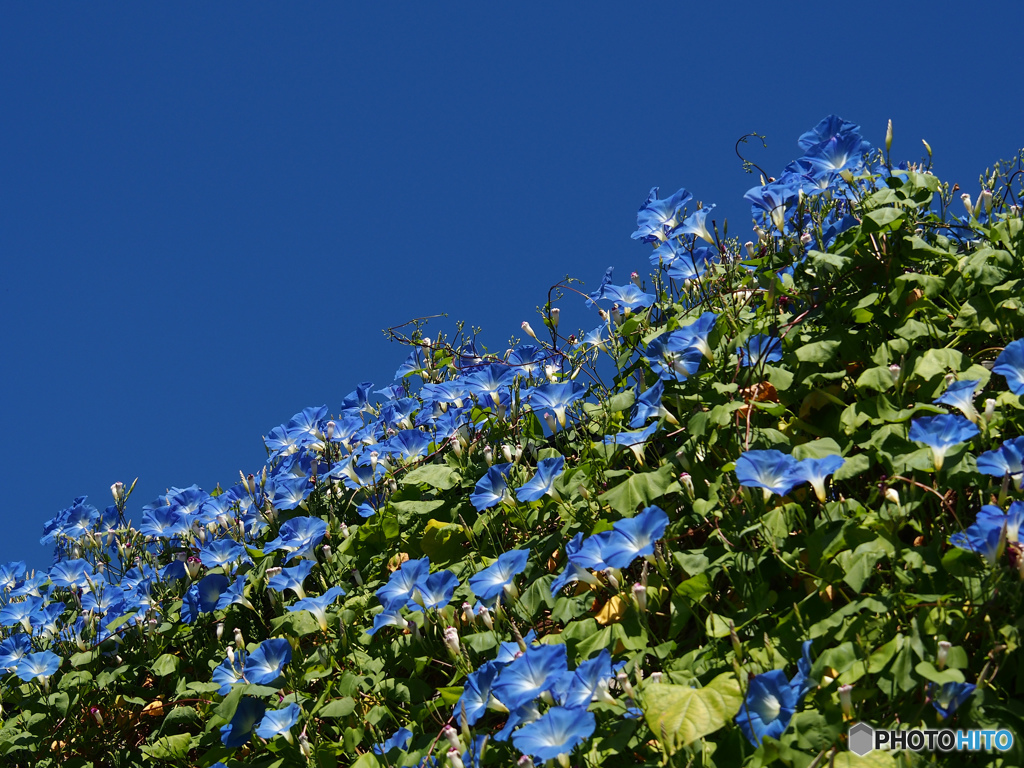 青空に熔ける(^^♪