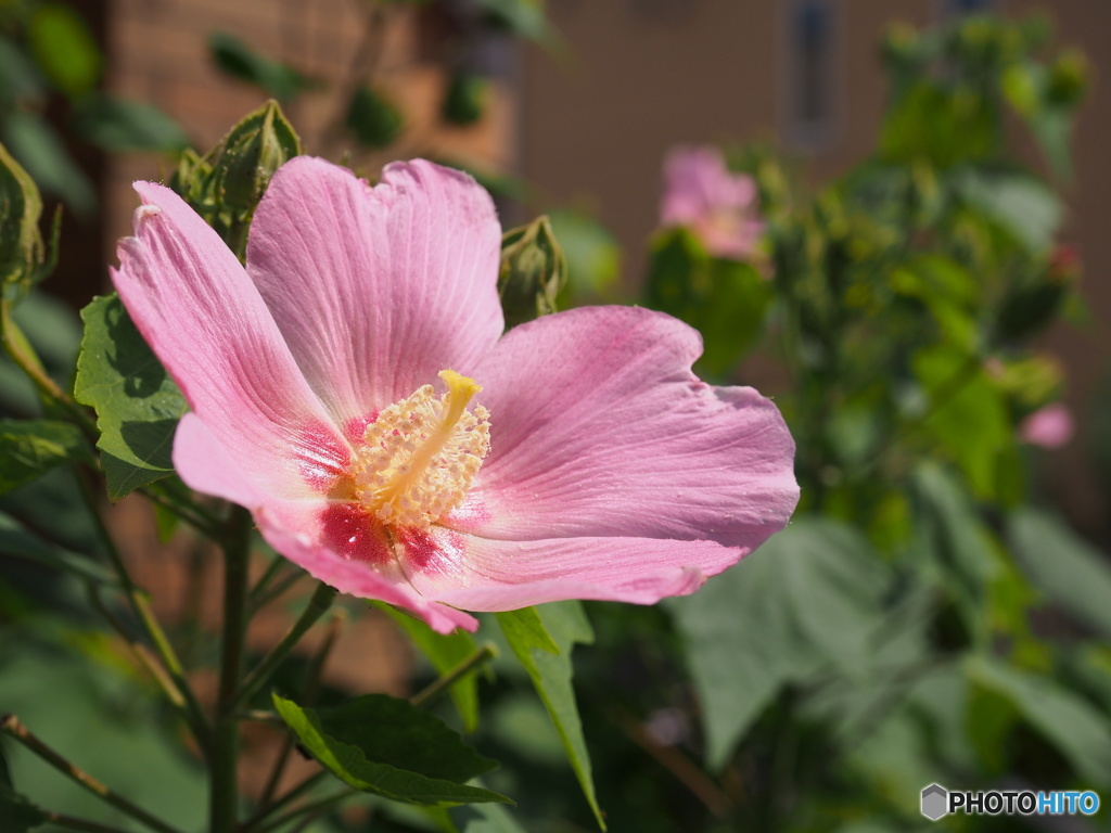 まだ、暑いですね～