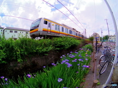 もうすぐ梅雨かな？