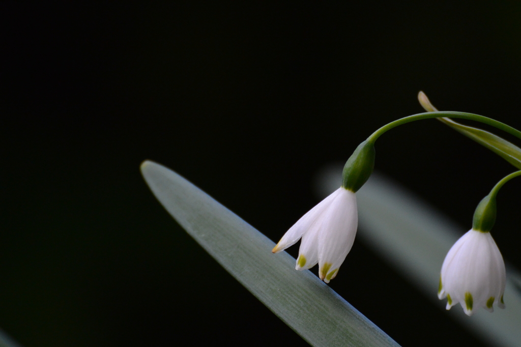 可憐ですね～(^_-)-☆