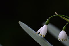 可憐ですね～(^_-)-☆