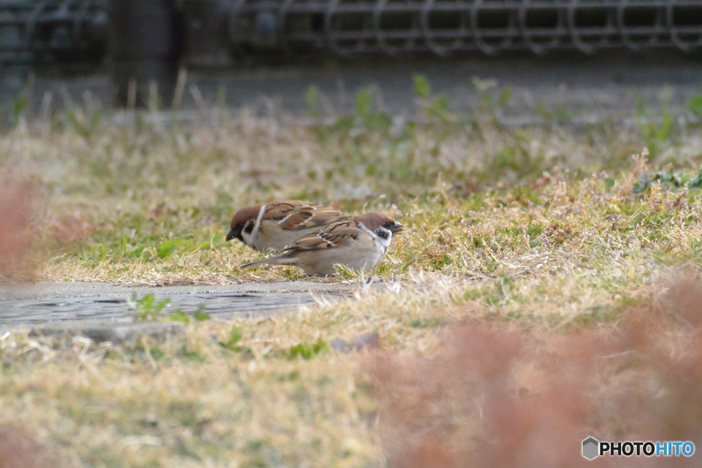 陽だまりのなかで(*^^)v