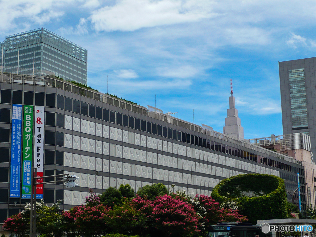 これも新宿(^^♪
