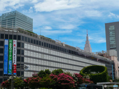 これも新宿(^^♪