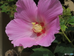 夏の終わりですよね～