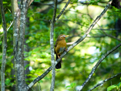 最近、巾を利かせてます(/_;)