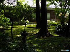 静寂　アジサイ寺