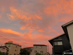 久しぶりに朝焼け～