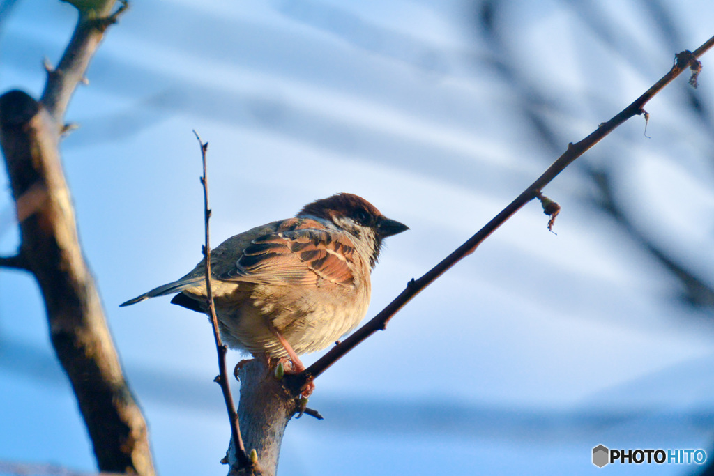 今日は手抜き(*^^)v