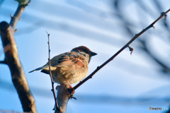 今日は手抜き(*^^)v