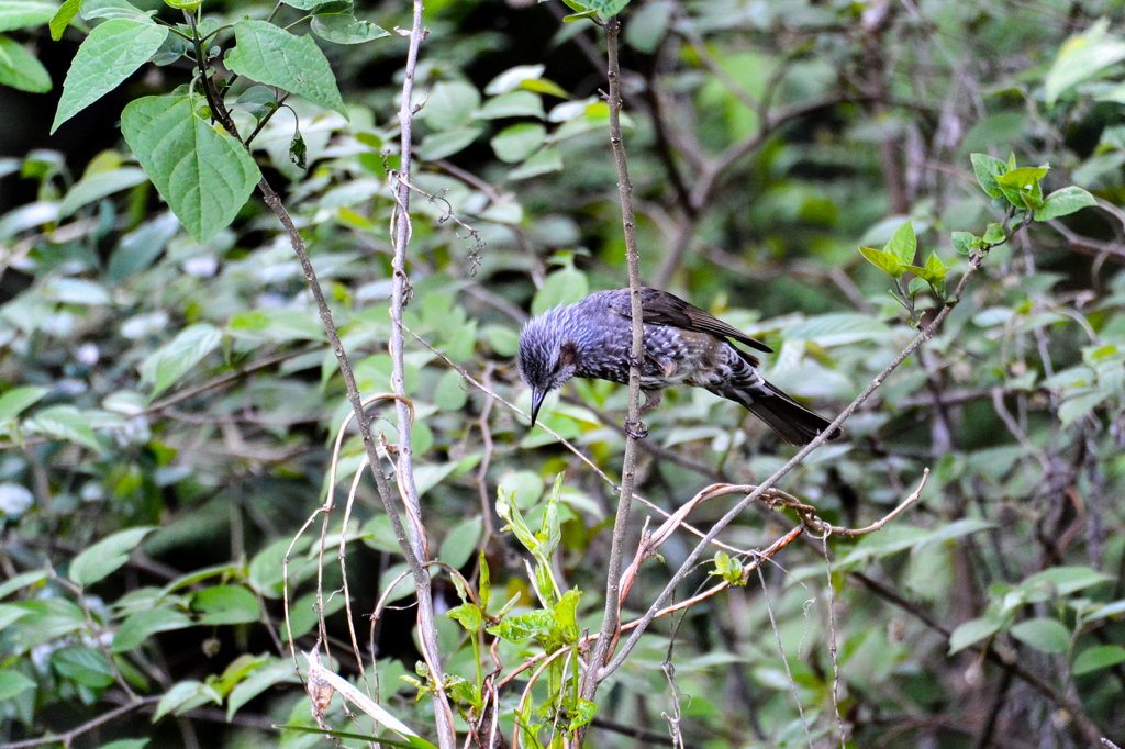 ん？　何があるのかな？