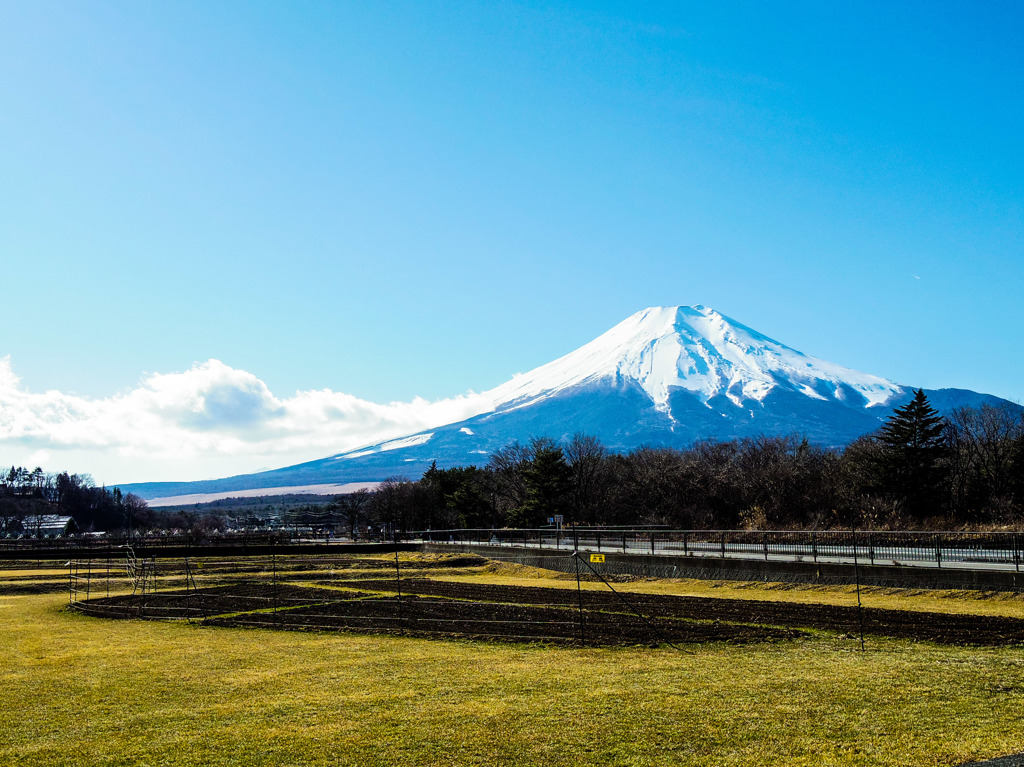 富士山ですけどね＾＾；；