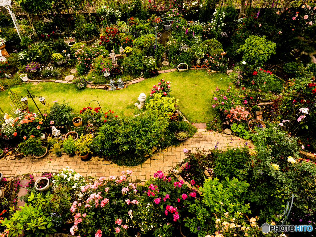 薔薇の庭-その２