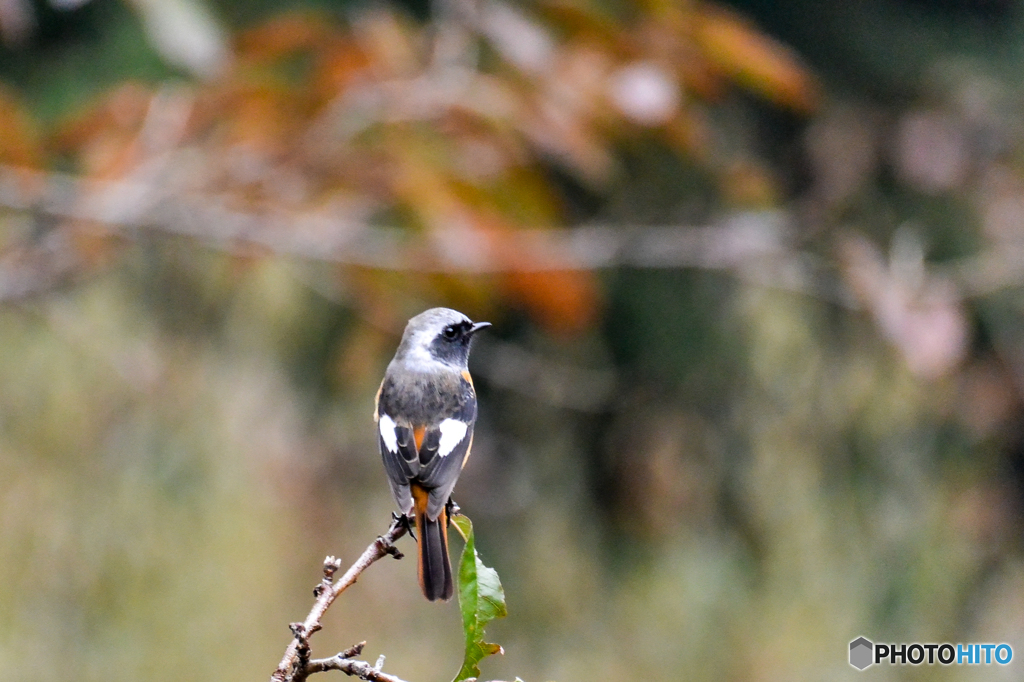 お帰りなさい。やっと会えました(^_-)-☆
