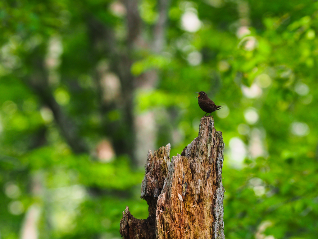 舞台の上で(^^♪