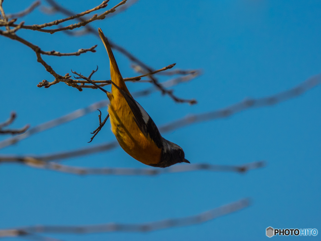 ダイビング(^^)/