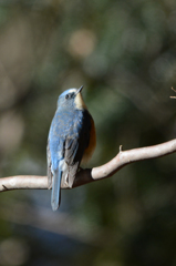 何を見上げているのかな？