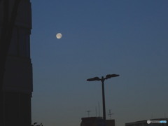 夜明けの月