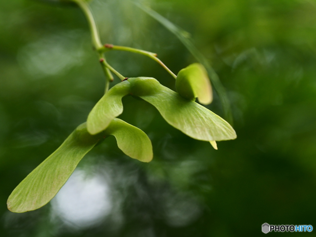 もうすぐ、旅立ち？