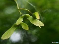 もうすぐ、旅立ち？