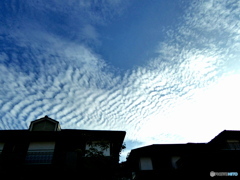 梅雨明けかな？