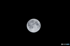 ブルームーン-20150731