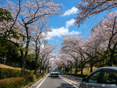 青空に映える(*^^)v