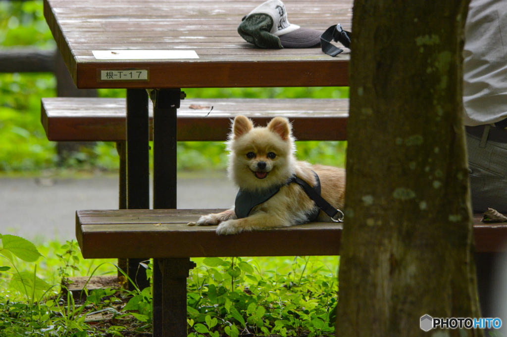 見つめてる？？