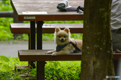 見つめてる？？