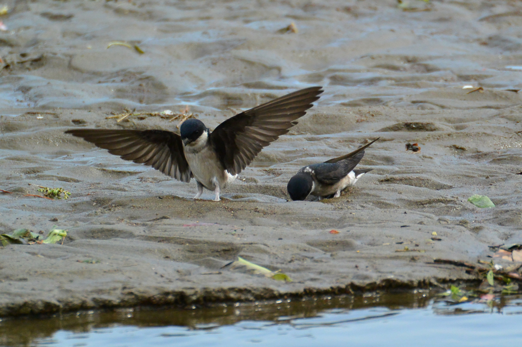 着地！　　満点(^_-)-☆