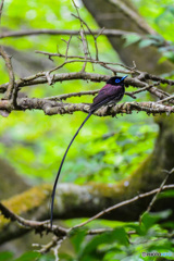 やっと会えました～