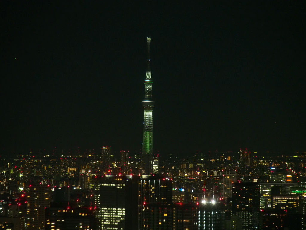 スカイツリー　都庁から