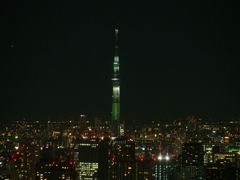 スカイツリー　都庁から