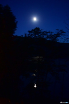 月明かり