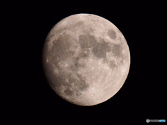 １３夜だそうです＾＾